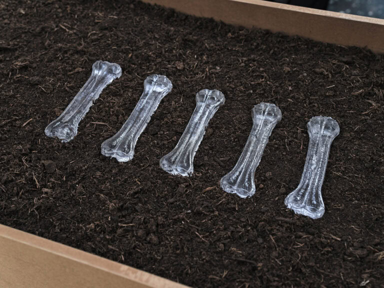 Foto: Nahaufnahme von transparenten Objekten in einer mit Erde gefüllten Box.